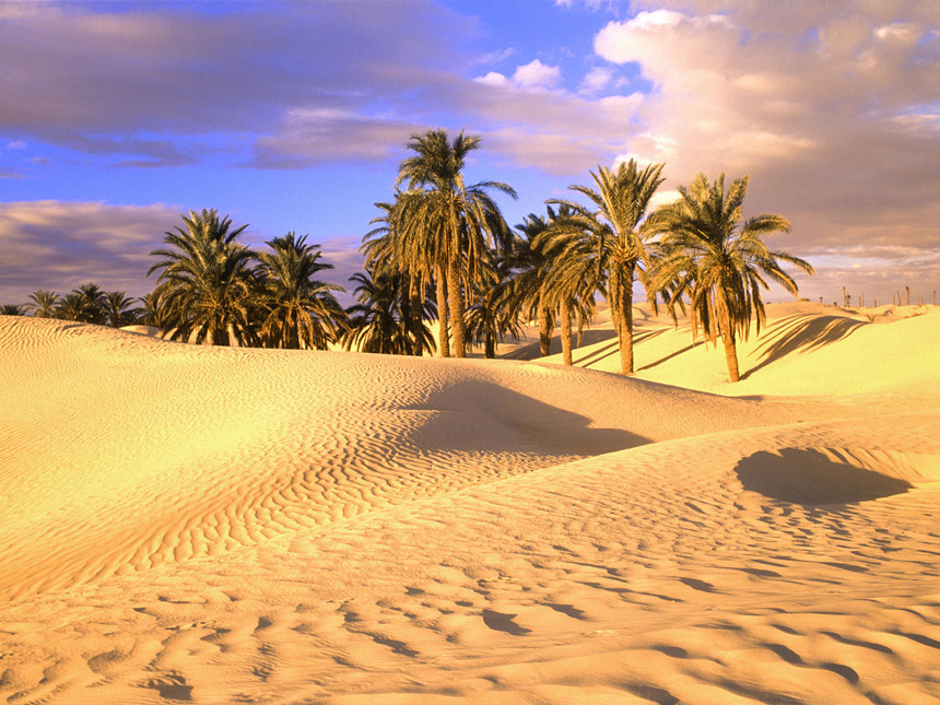 Những[-]sự[-]thật[-]bất[-]ngờ[-]về[-]sa[-]mạc[-]Sahara[-]